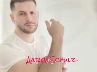 AaronSchulz