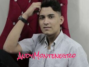 AndyMontenegro