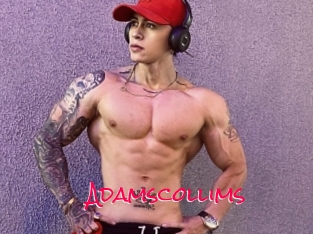 Adamscollims