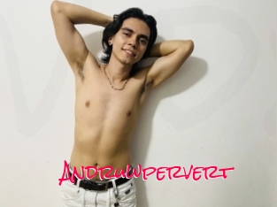 Andruwpervert