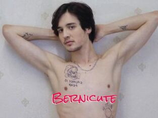 Bernicute