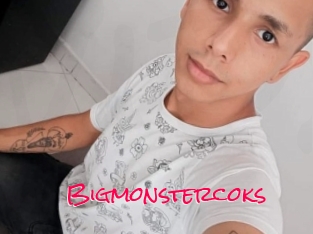 Bigmonstercoks