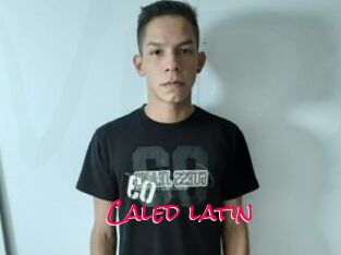 Caled_latin