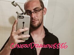 ConejoDragon8886