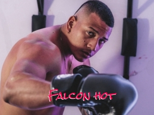 Falcon_hot