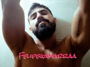 Felipegamarraa