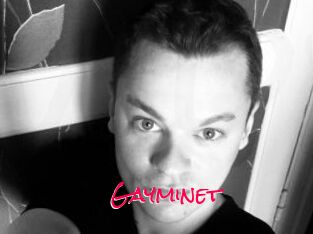 Gayminet