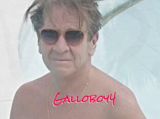 Galloboy4