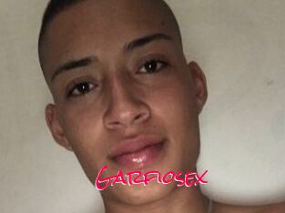 Garfiosex