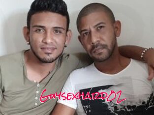 Guysexhard02