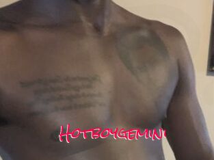 Hotboygemini