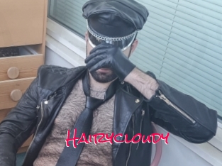 Hairycloudy