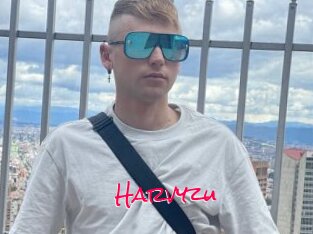 Harvyzu