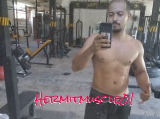 Hermitmuscle01