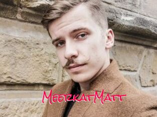 MeerkatMatt