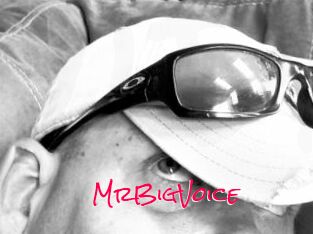 MrBigVoice