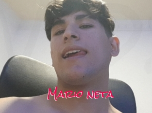 Mario_neta