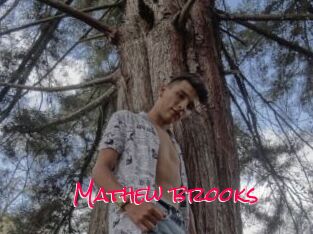 Mathew_brooks