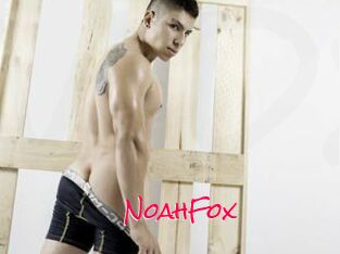 NoahFox