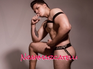 Noahmarcatelli