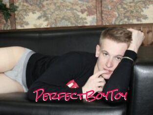 PerfectBoyToy