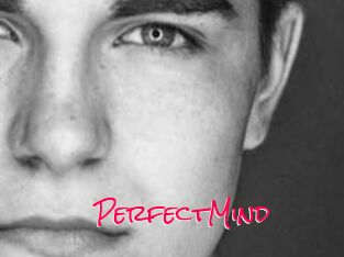 PerfectMind