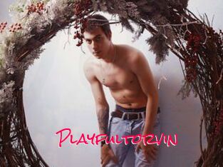 Playfultorvin