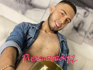 Pleasureboy22