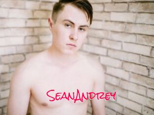 SeanAndrey