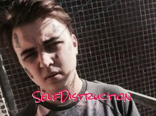 SelfDistruction