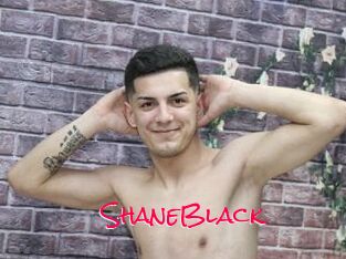 ShaneBlack