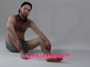 Shininghusky