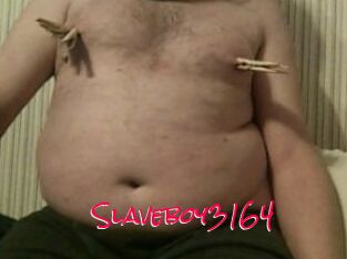 Slaveboy3164