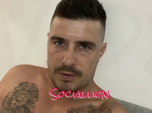 Sociallion