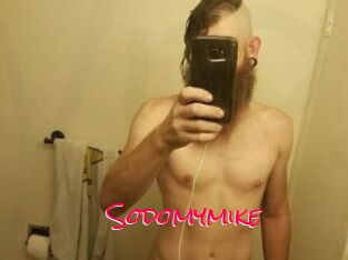 Sodomymike