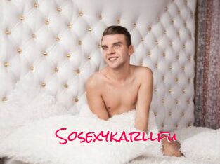 Sosexykarllfu