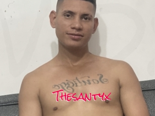 Thesantyx