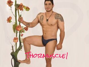 Thormuscle1