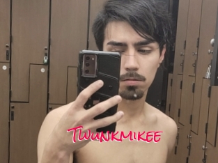 Twunkmikee