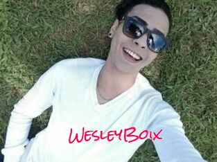 Wesley_Boix