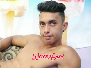 WoodGuy