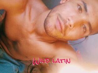 Wild_latin